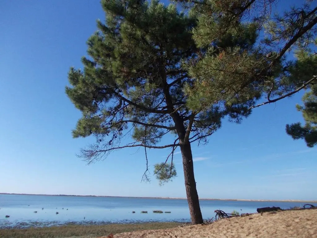 Village Vacances 4 etoiles LES MATHES AUX CHARMETTES