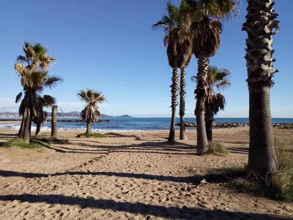 Le Petit Paradis