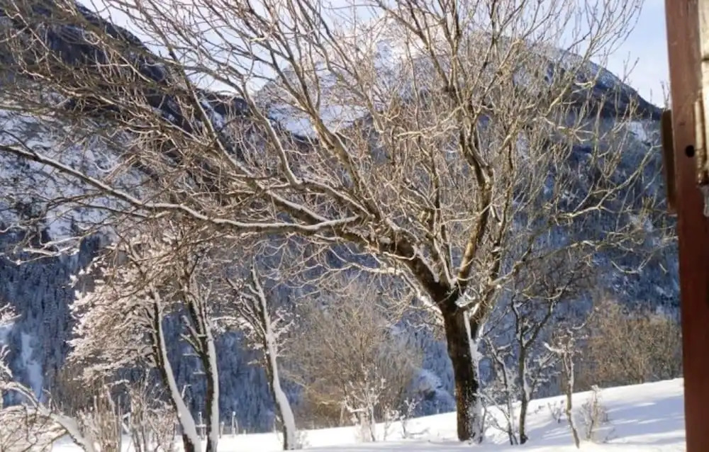 Chalet With 3 Bedrooms in Saint-andré, With Wonderful Mountain View, F