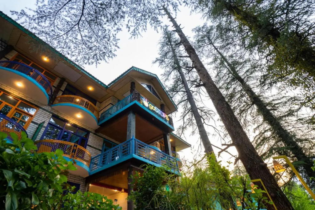 goSTOPS Kasol