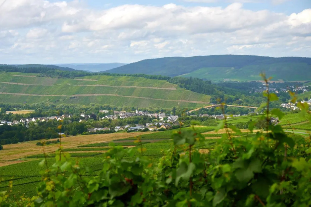 Weinromantikhotel - Richtershof