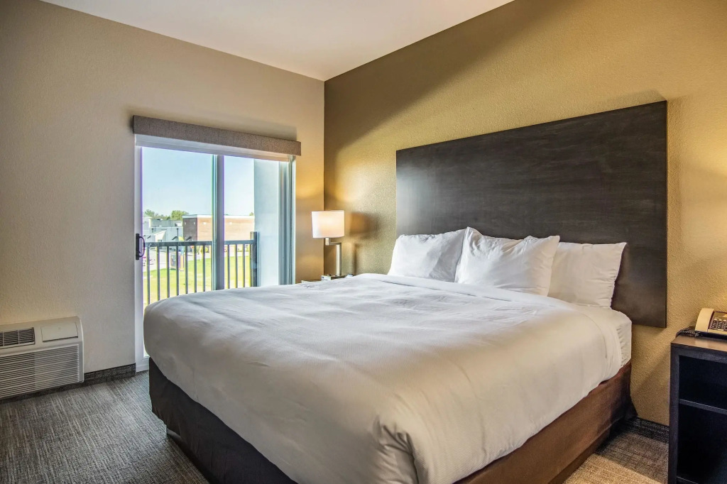 Comfort Suites Brunswick Town Center