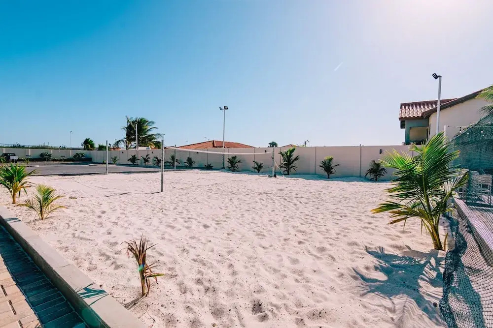 Aruba's Life 303