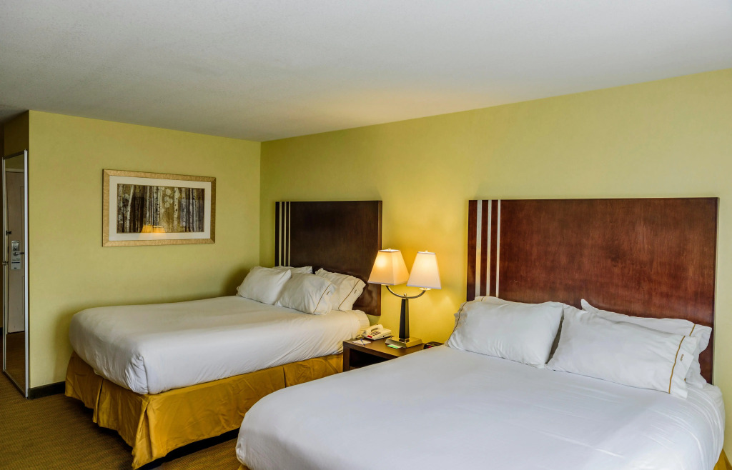 Holiday Inn Express Hotel & Suites Hamburg by IHG