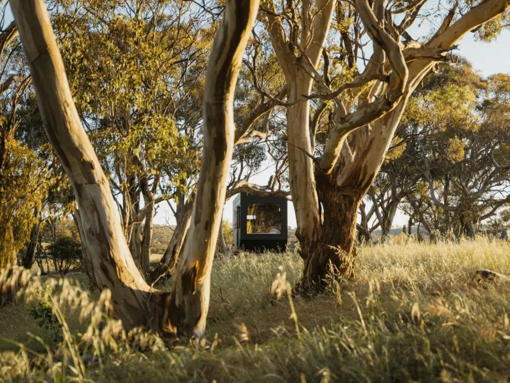 CABN Clare Valley