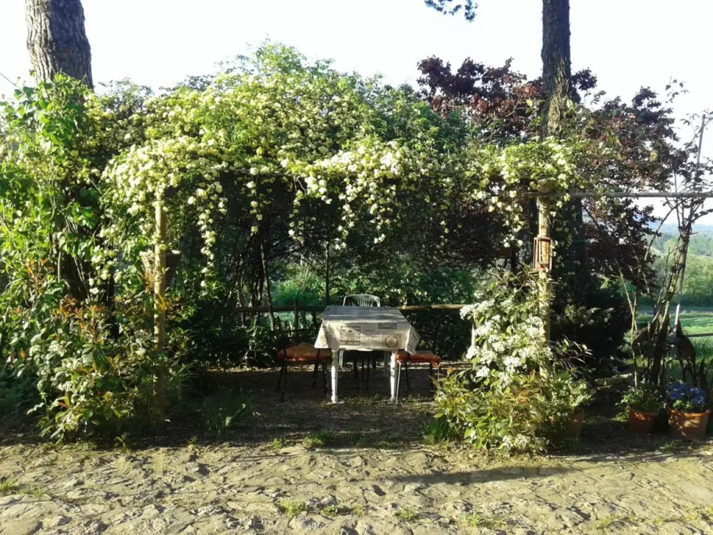 BB Della Rosa