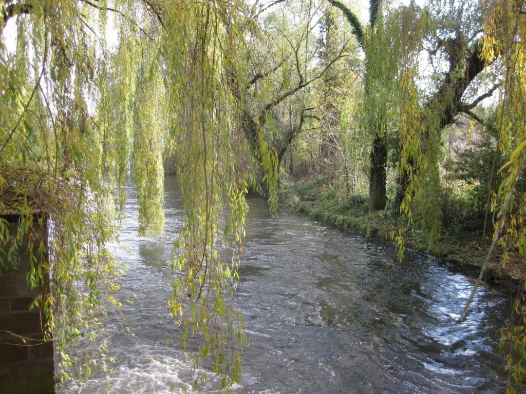 Hôtel-SPA Le Moulin De La Wantzenau - Strasbourg Nord