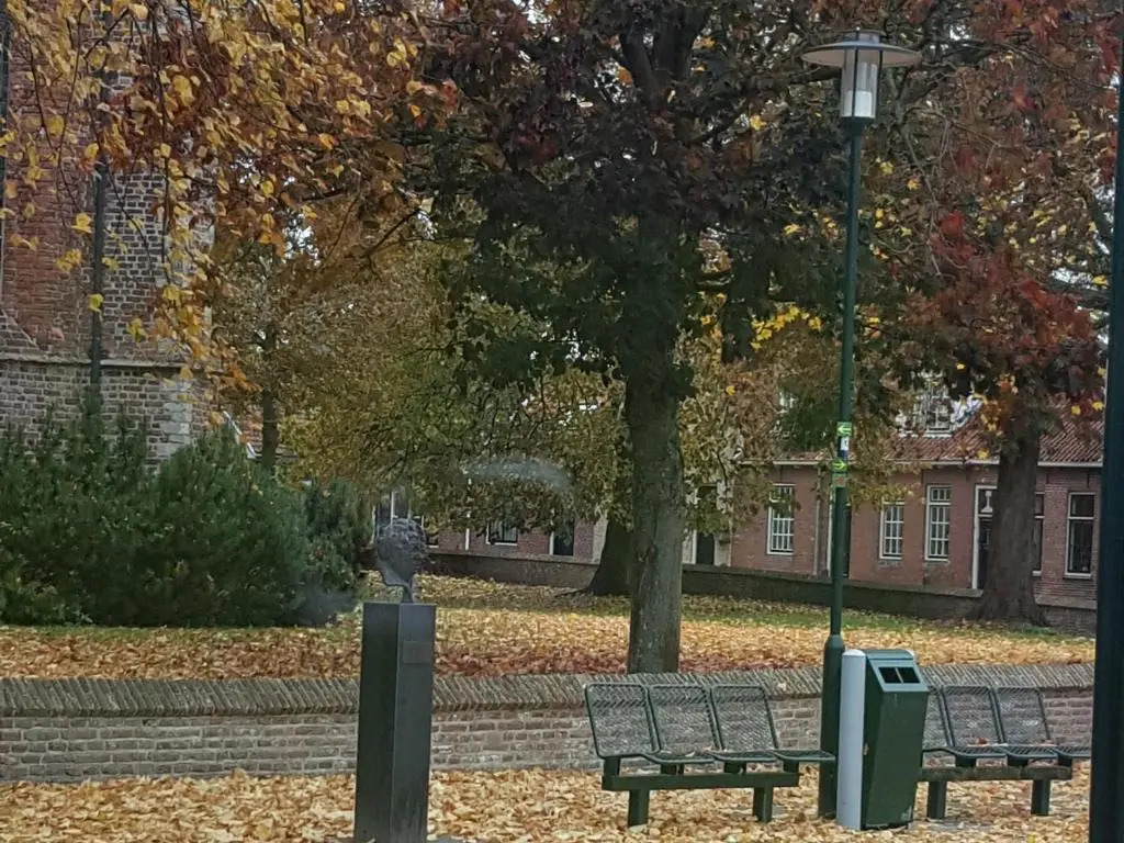 HCR de Zwaan