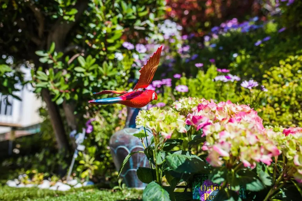 La Casetta dei Fiori VI3078