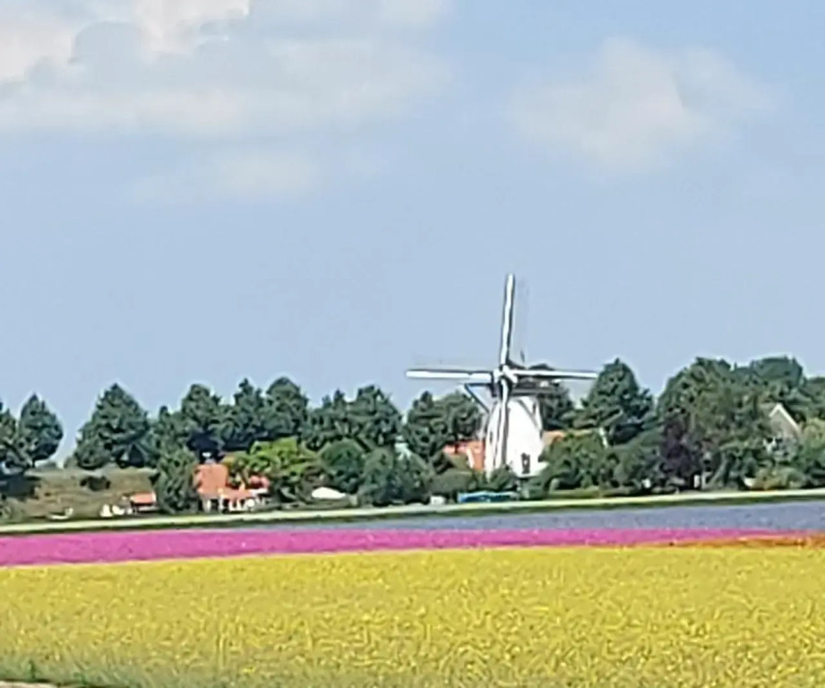 De Nieuwe Stal