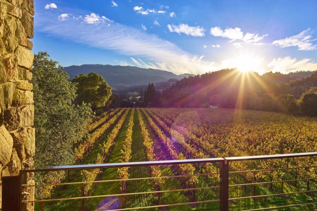 Alila Napa Valley, a Hyatt Resort