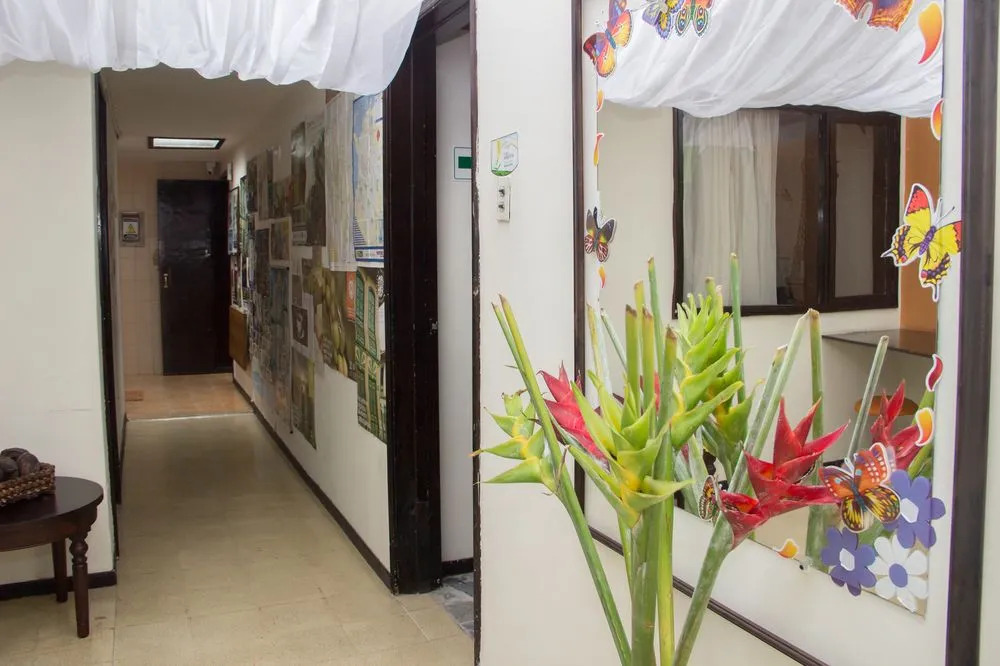 Hostal de la Montana