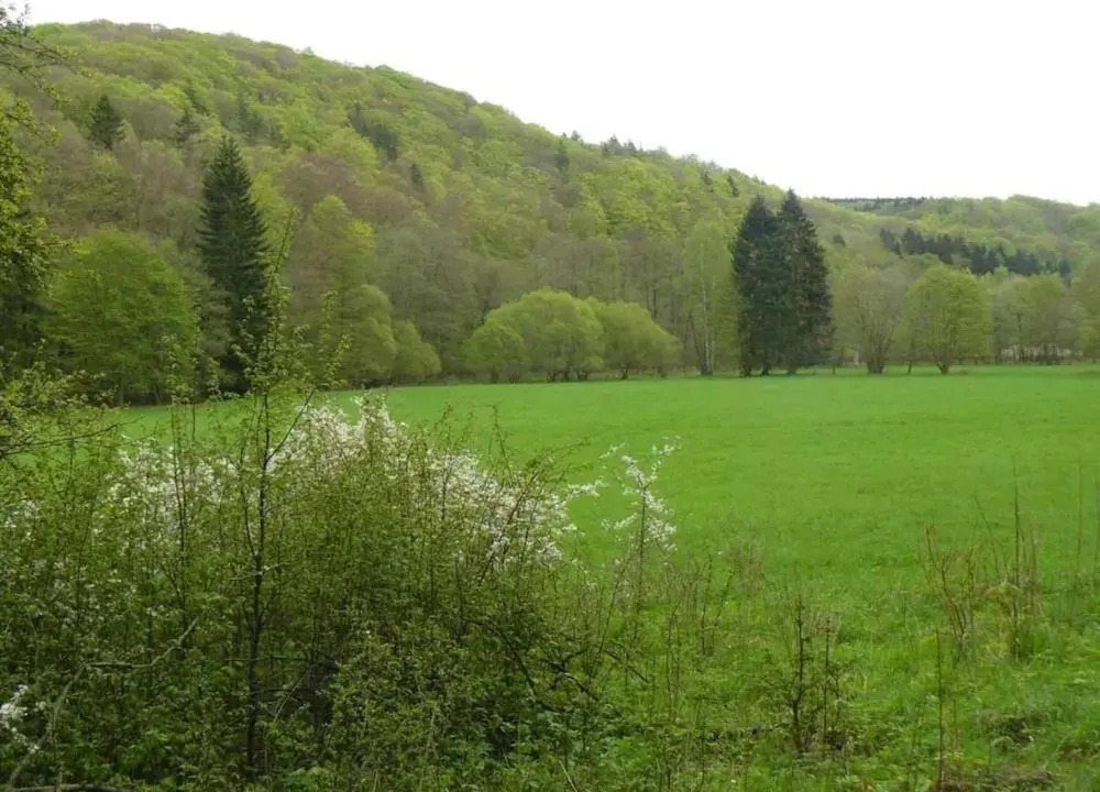 Escape Near River, Wolfsberg