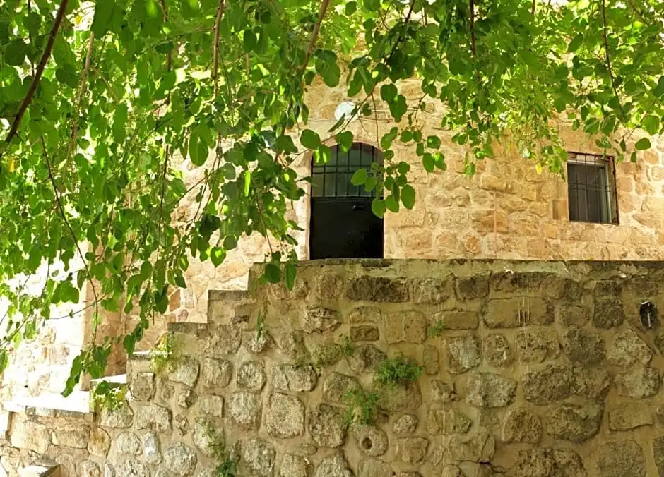 beytsami taşev