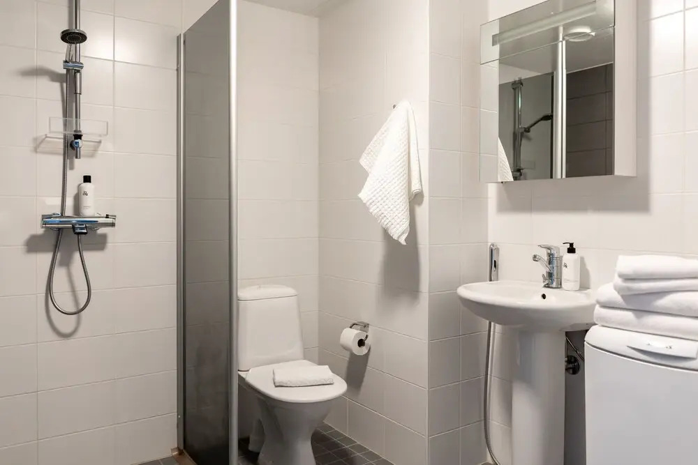 1br apartment with balcony by university