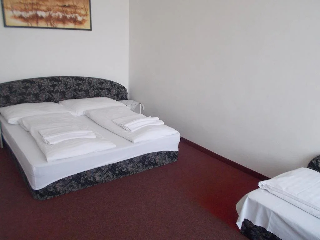 Hotel U Hroznu