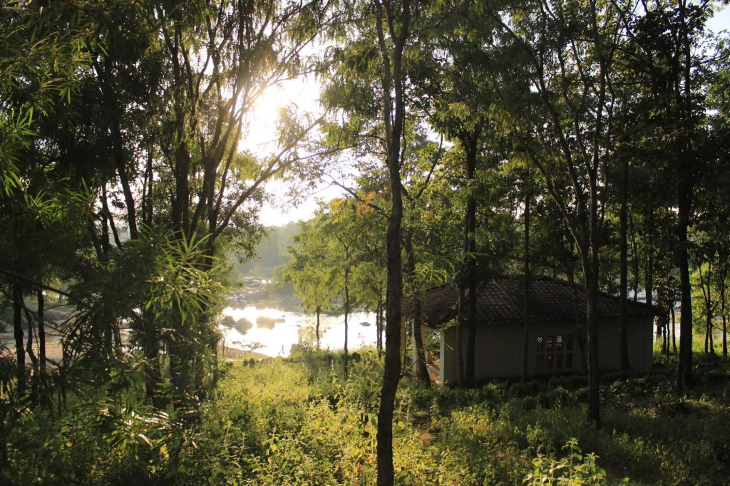 Wild Chalet Resort