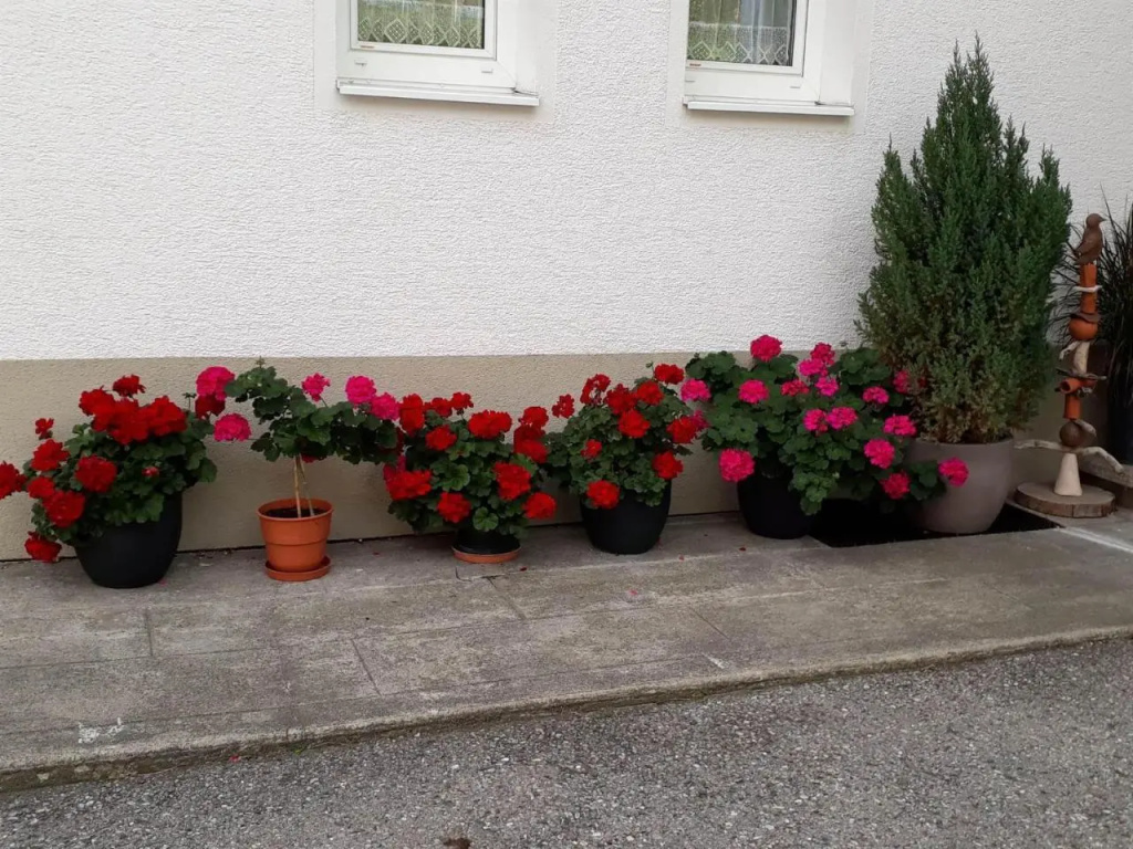 Haus Vallaster