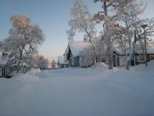 Saariselän Marjamajat