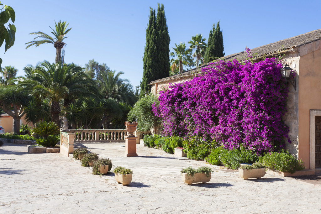 Es Revellar Art Resort