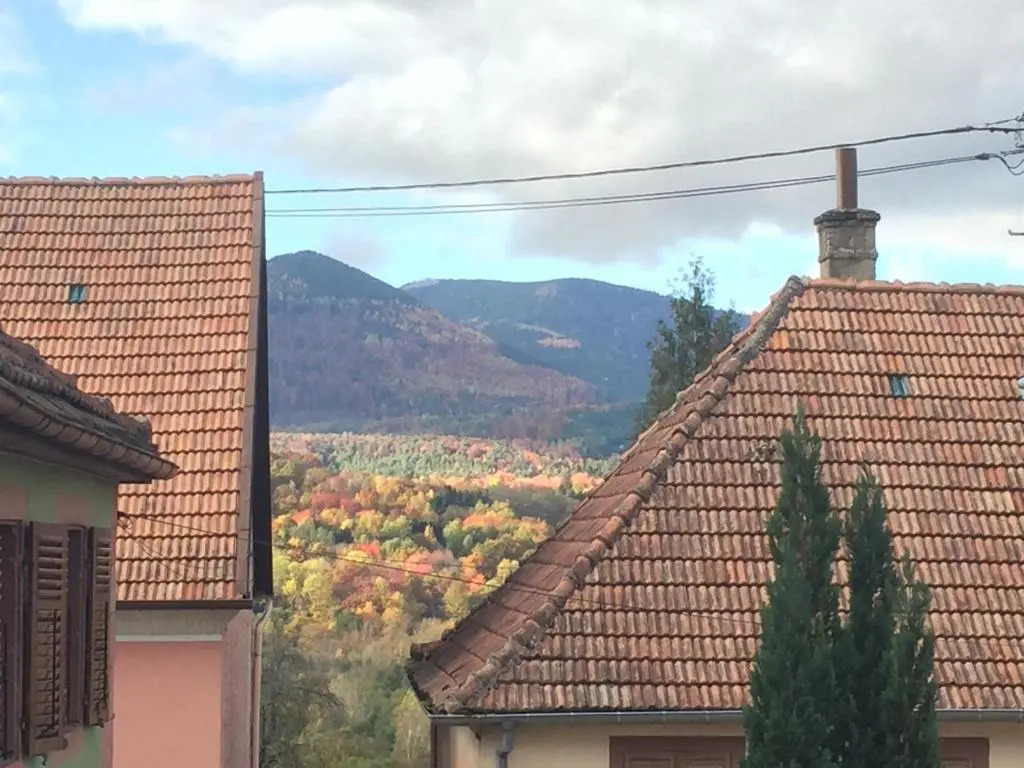 Lestaminet De La Vallée