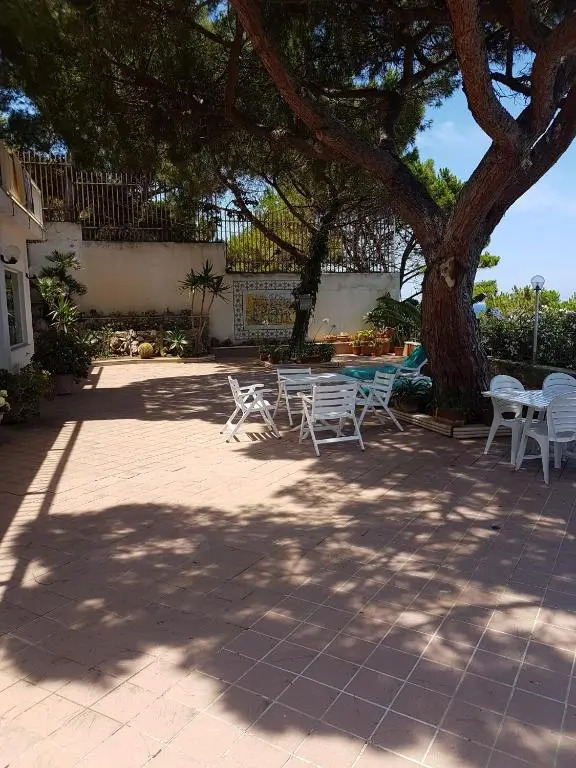 Suite Panoramic