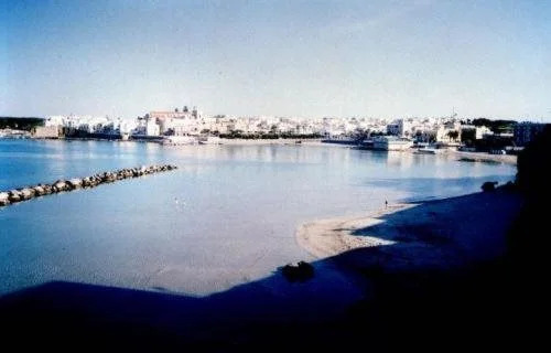 Il Gabbiano