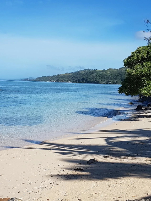 The View Fiji