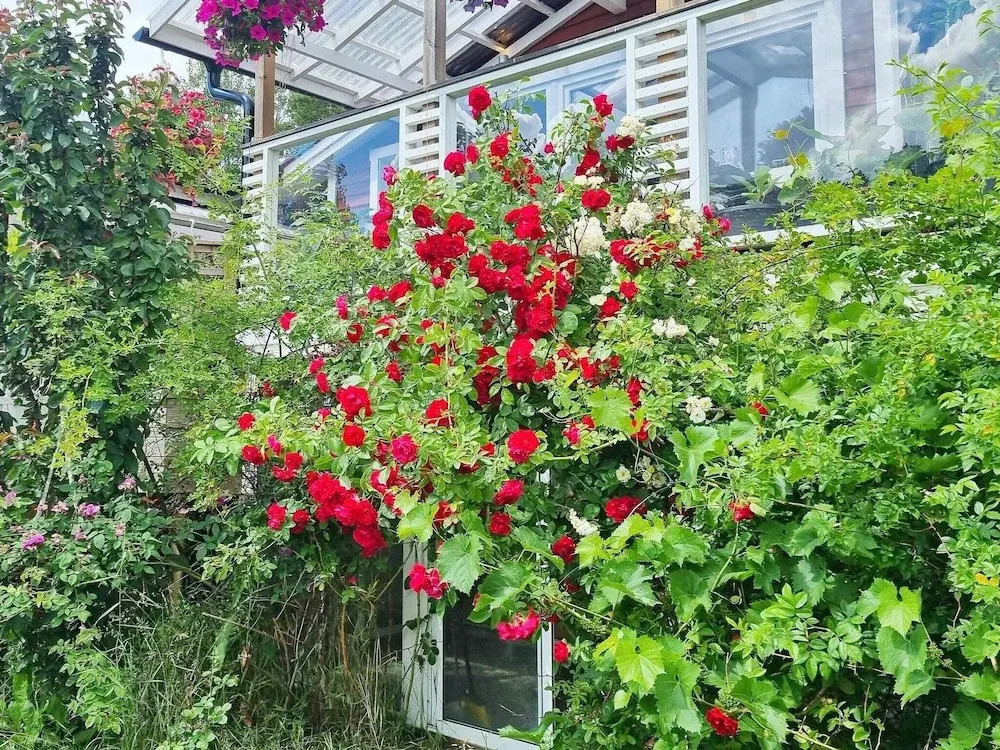 4 Person Holiday Home in Arsta Havsbad