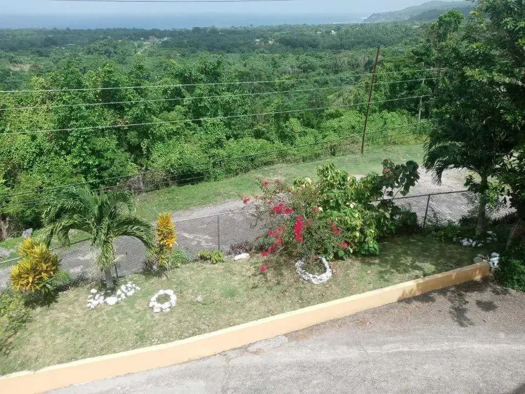 Royal Villa 360
