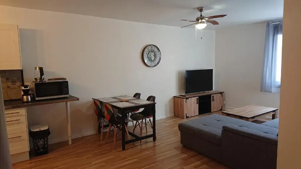 Appartement T2 45 M2 Meublé 3 étoiles tout confort hyper centre de Dax
