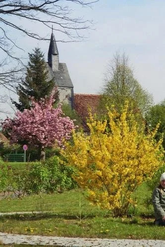 Ferienwohnung Siebmann