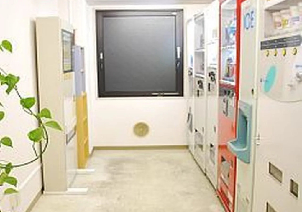 Sabae Daiichi Hotel