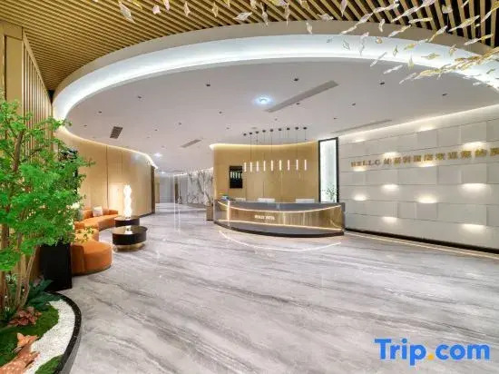 Pujiang Weisi Li Hotel