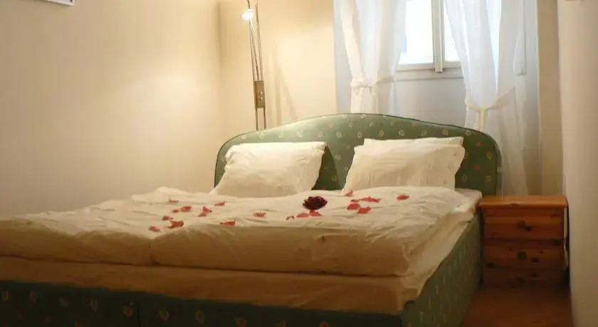 Historical Town Apartment