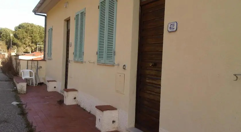 Delfino Innamorato