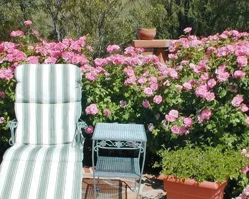 Hacienda del Desierto Bed & Breakfast