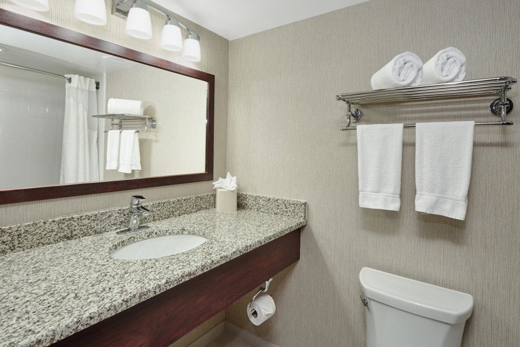Holiday Inn & Suites Chicago-Carol Stream Wheaton by IHG