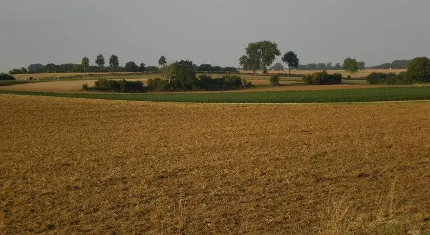 Coquelicotel