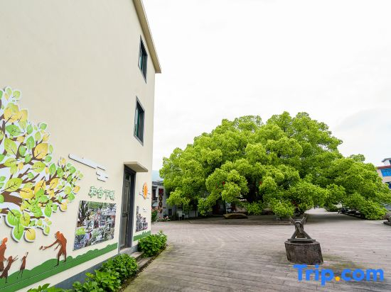 Ju Zhi Yu Homestay