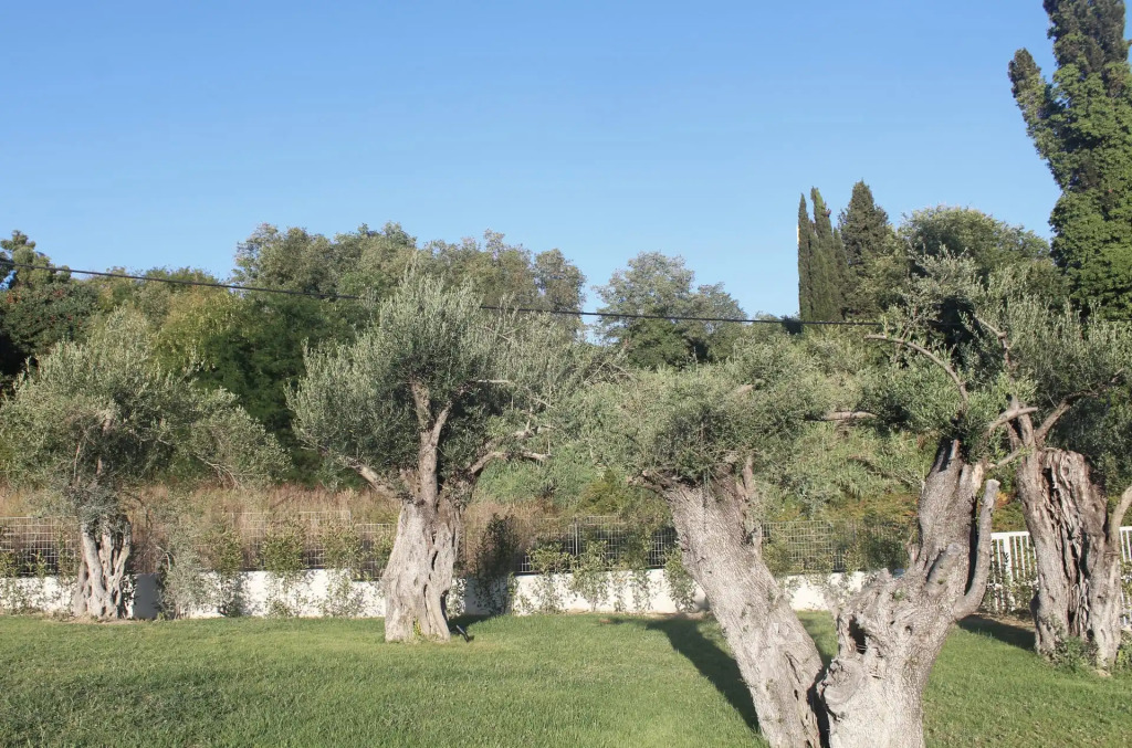 Stablo Residence Corfu