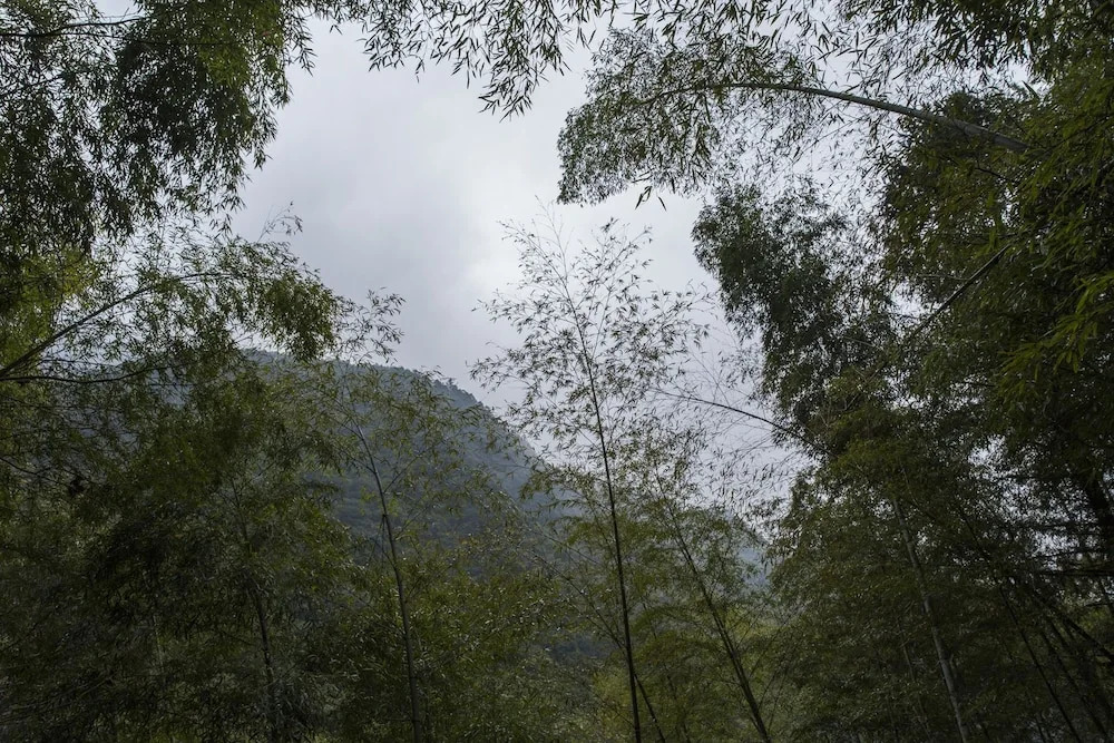Jiuxi Cloud Valley Hotel