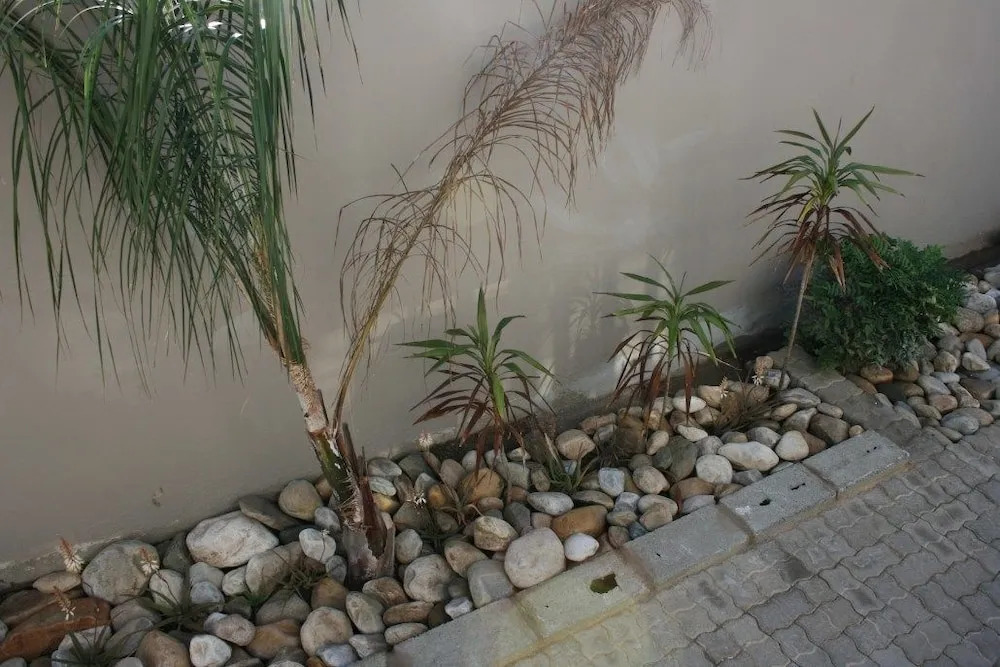 Windmill Guesthouse