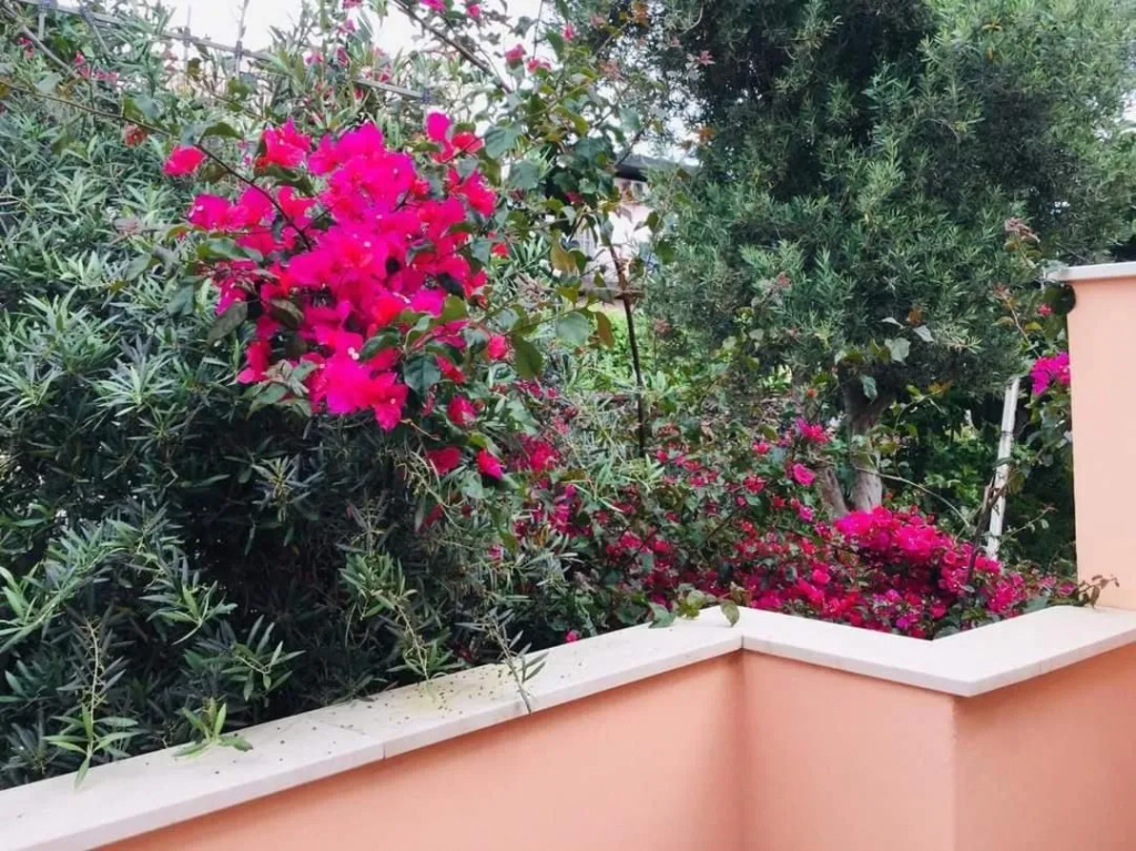 b & b Jasmine