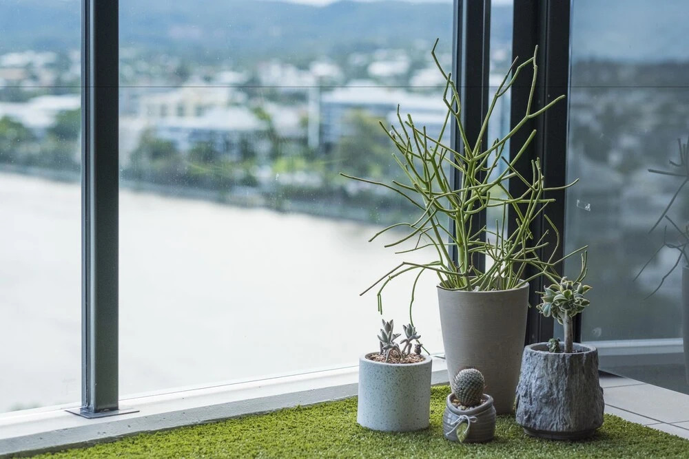 Homely Apartment at Waterfront