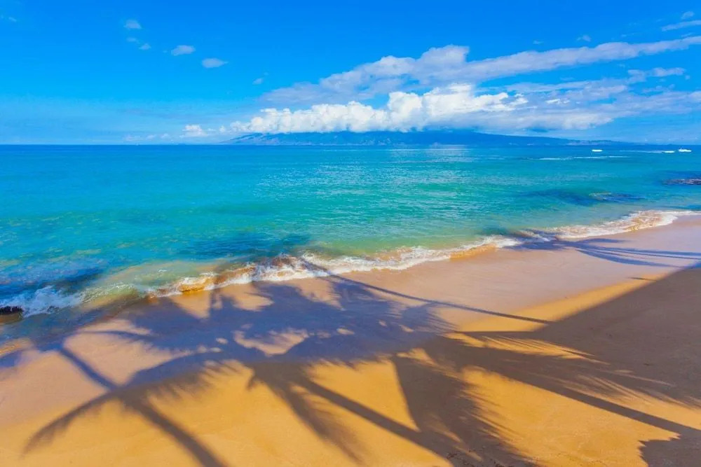 Kaleialoha 211 by RedAwning