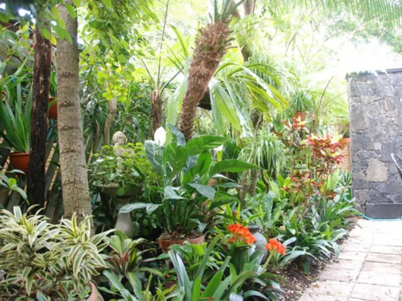 Sandals Guest House