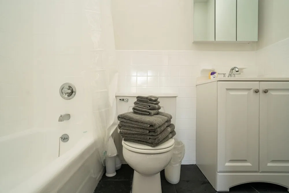 Midtown South Apartment Rentals