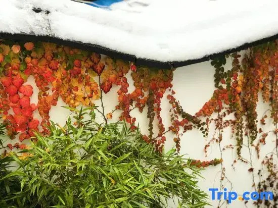 Shaoxing Baozong Jingshe Homestay