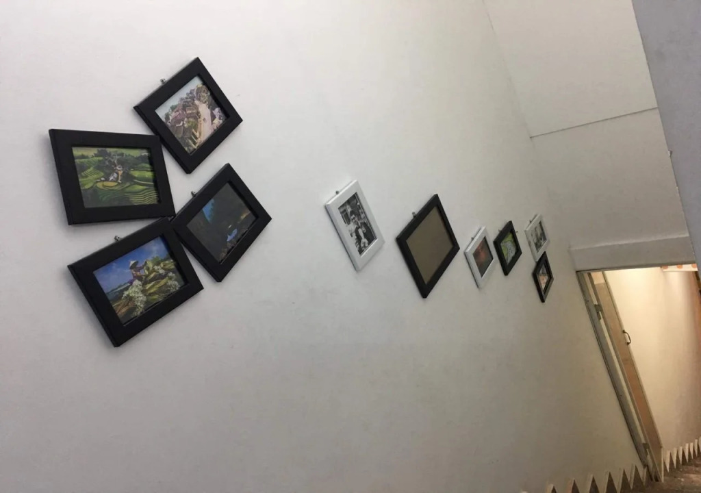 Meow Hostel